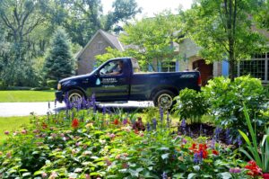 professional decorative garden arrangements