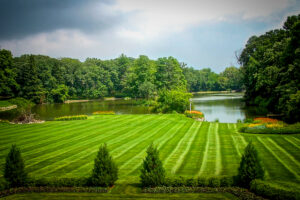 professionally kept grassy field